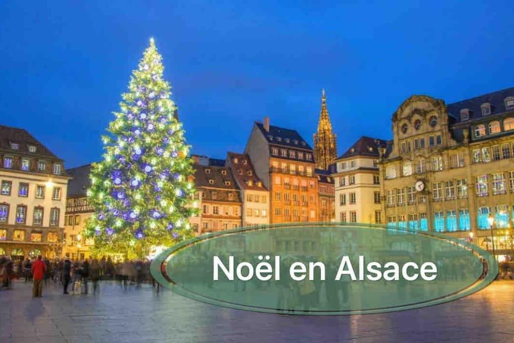 Gite Classe 4 Etoiles  La Maison Du Tonnelier Oberbronn Экстерьер фото