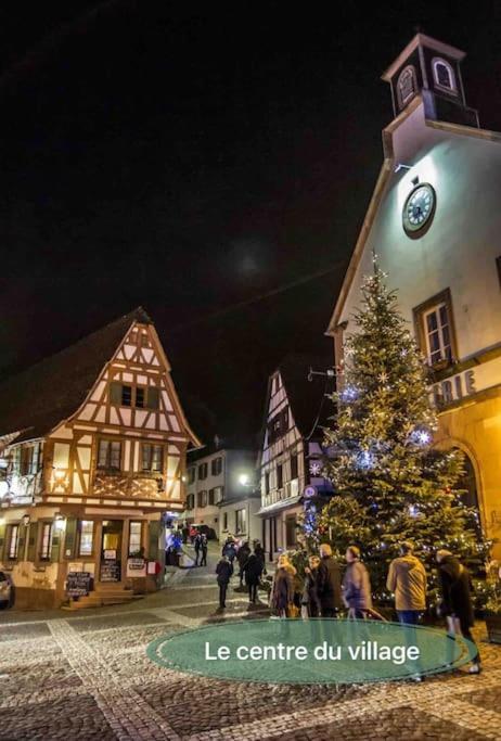 Gite Classe 4 Etoiles  La Maison Du Tonnelier Oberbronn Экстерьер фото