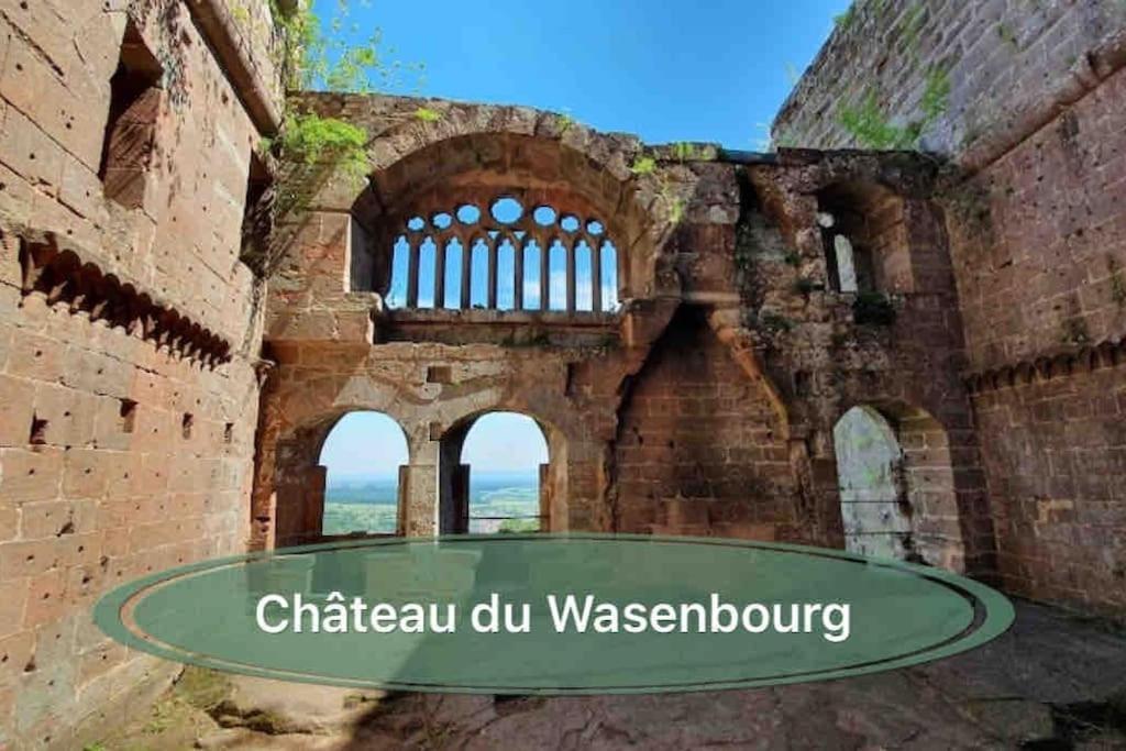 Gite Classe 4 Etoiles  La Maison Du Tonnelier Oberbronn Экстерьер фото