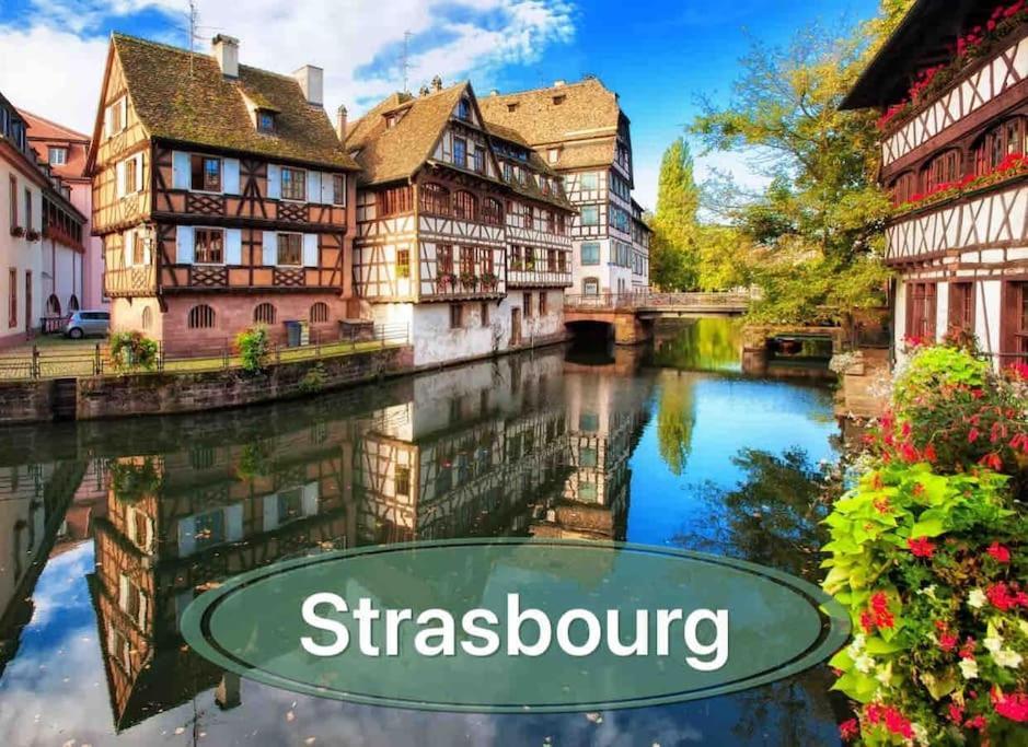 Gite Classe 4 Etoiles  La Maison Du Tonnelier Oberbronn Экстерьер фото