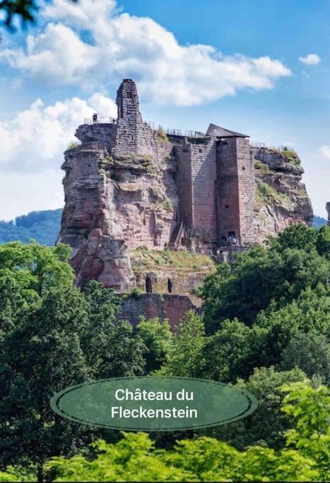 Gite Classe 4 Etoiles  La Maison Du Tonnelier Oberbronn Экстерьер фото